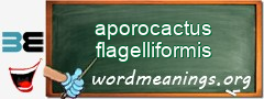 WordMeaning blackboard for aporocactus flagelliformis